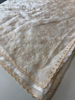 Viscous Organza Saree/ Ws18