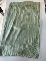 Tissue Organza Saree/ W319