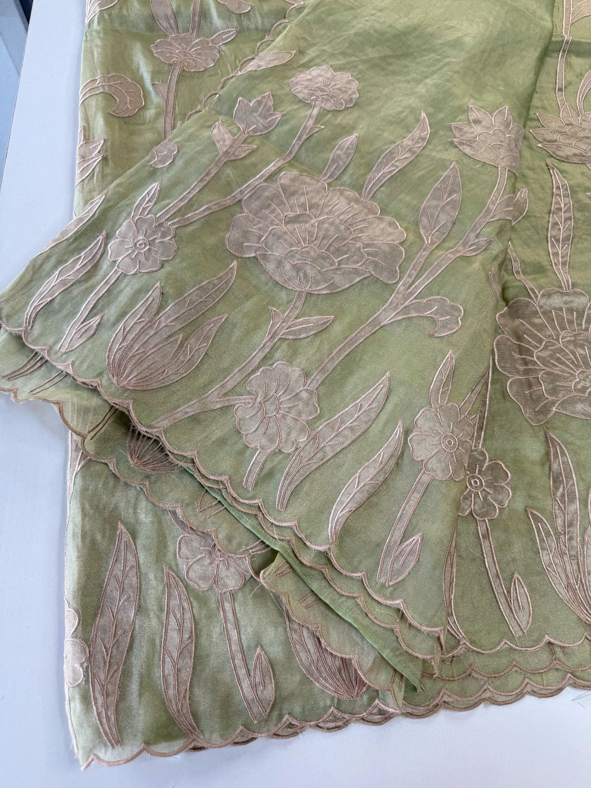 Tissue Georgette Saree/ WS58
