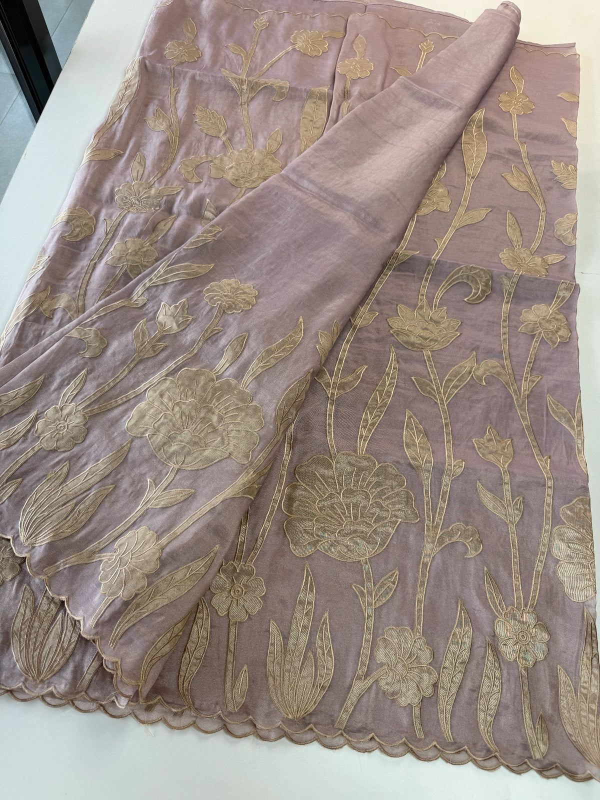 Tissue Georgette Saree/ WS58