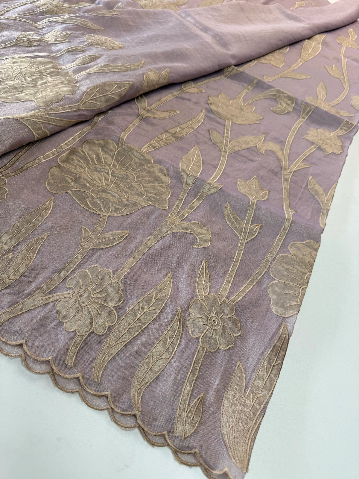 Tissue Georgette Saree/ WS58