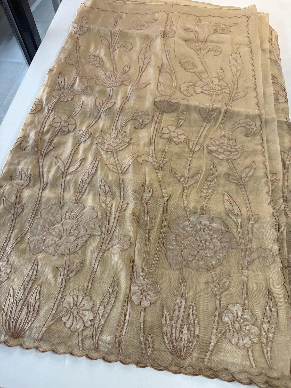 Tissue Georgette Saree/ WS58