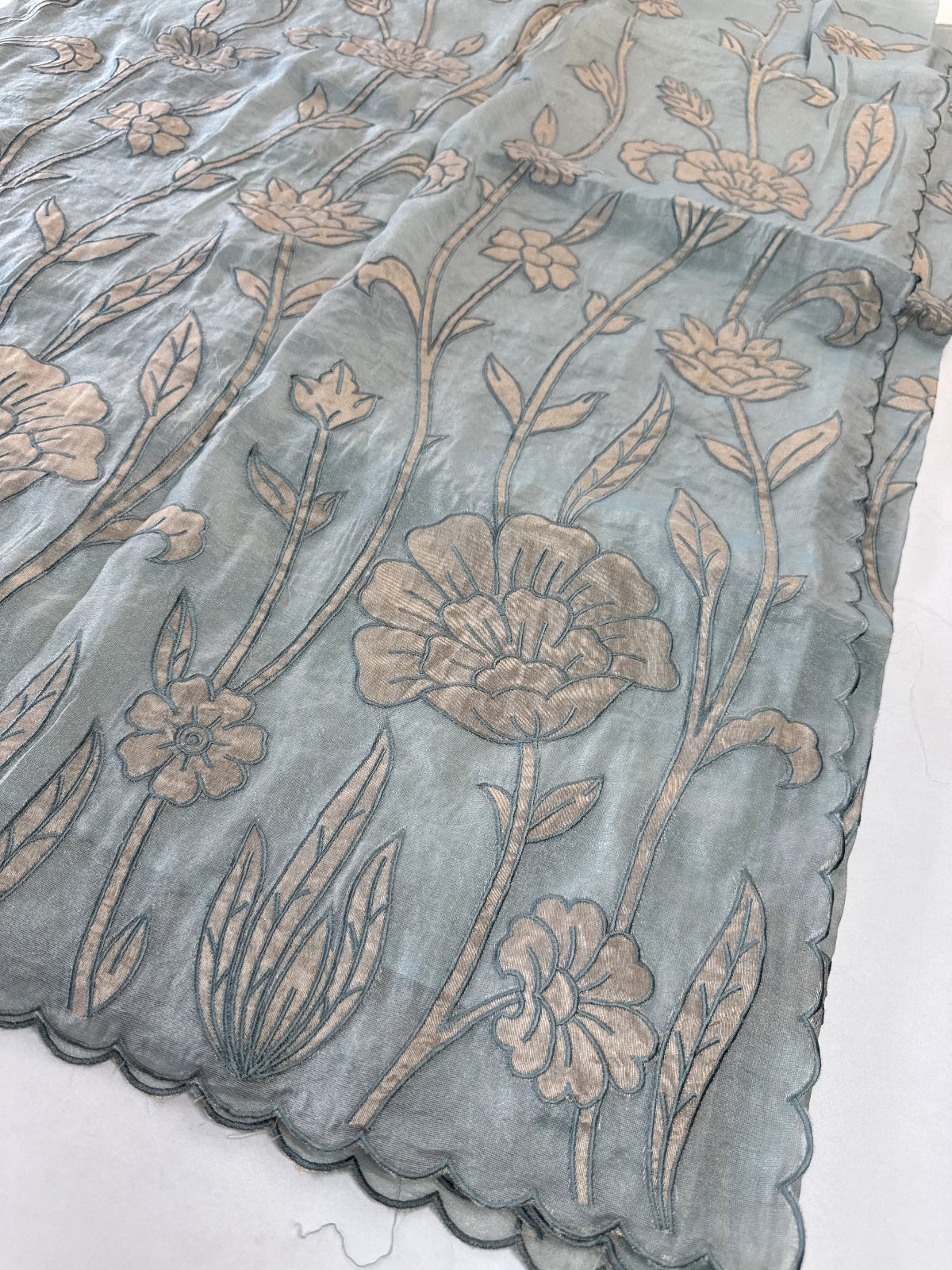 Tissue Georgette Saree/ WS58