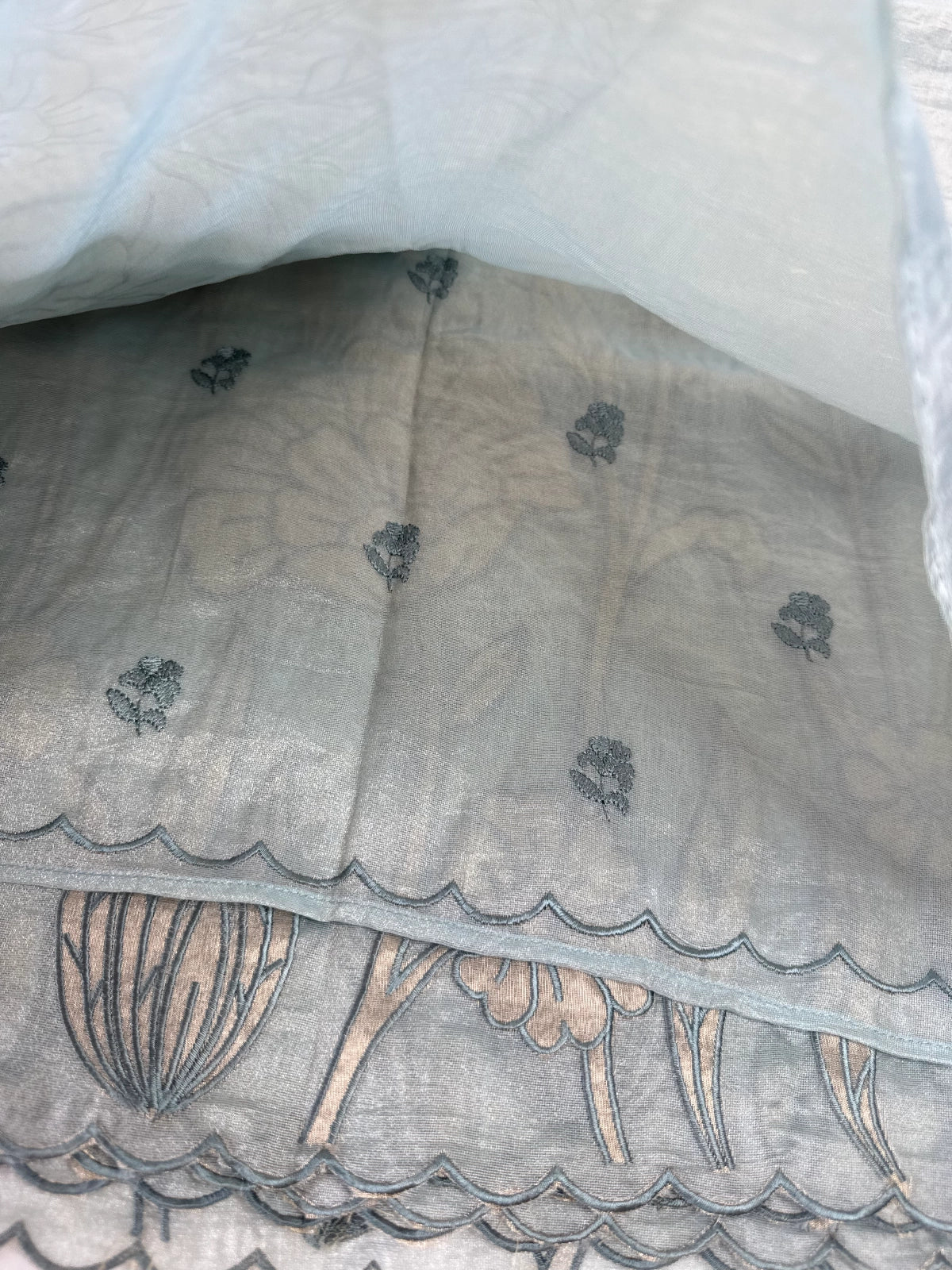 Tissue Georgette Saree/ WS58