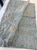 Tissue Georgette Saree/ WS58