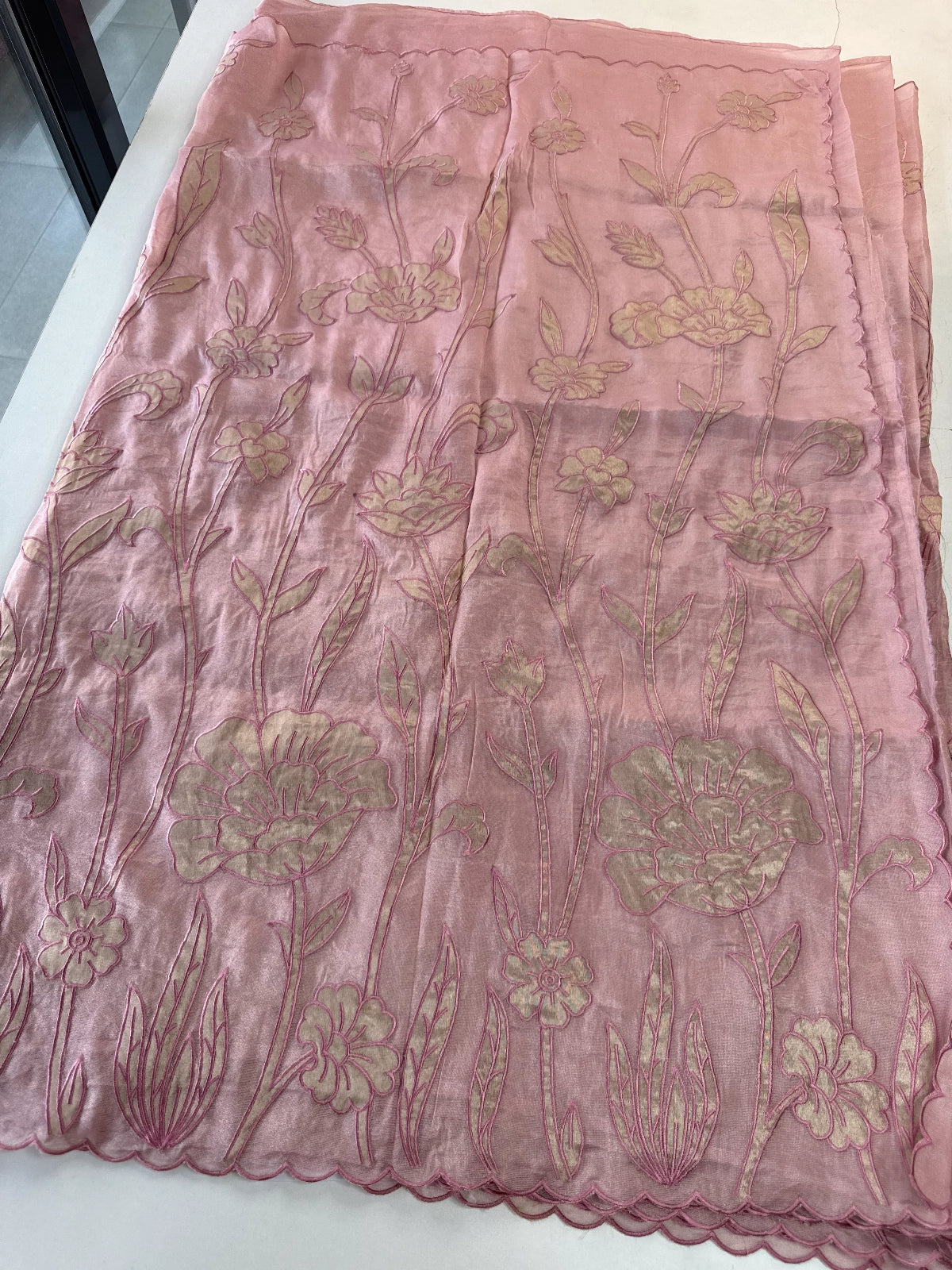 Tissue Georgette Saree/ WS58