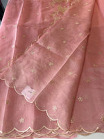 Chanderi Tissue Blend saree/ RF54