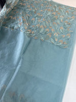 Soft Organza Saree/ CW496