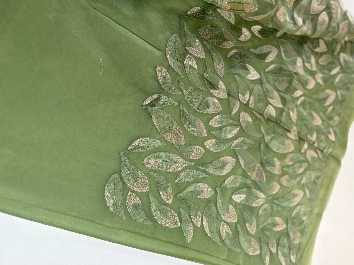 Soft Organza Saree/ CW496