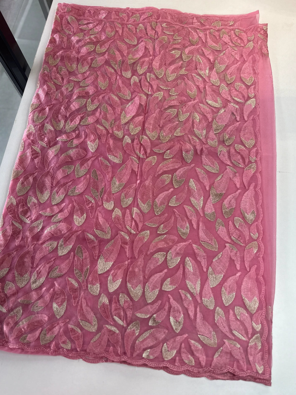 Soft Organza Saree/ CW496