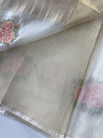 Tissue Chanderi blend saree / CW562