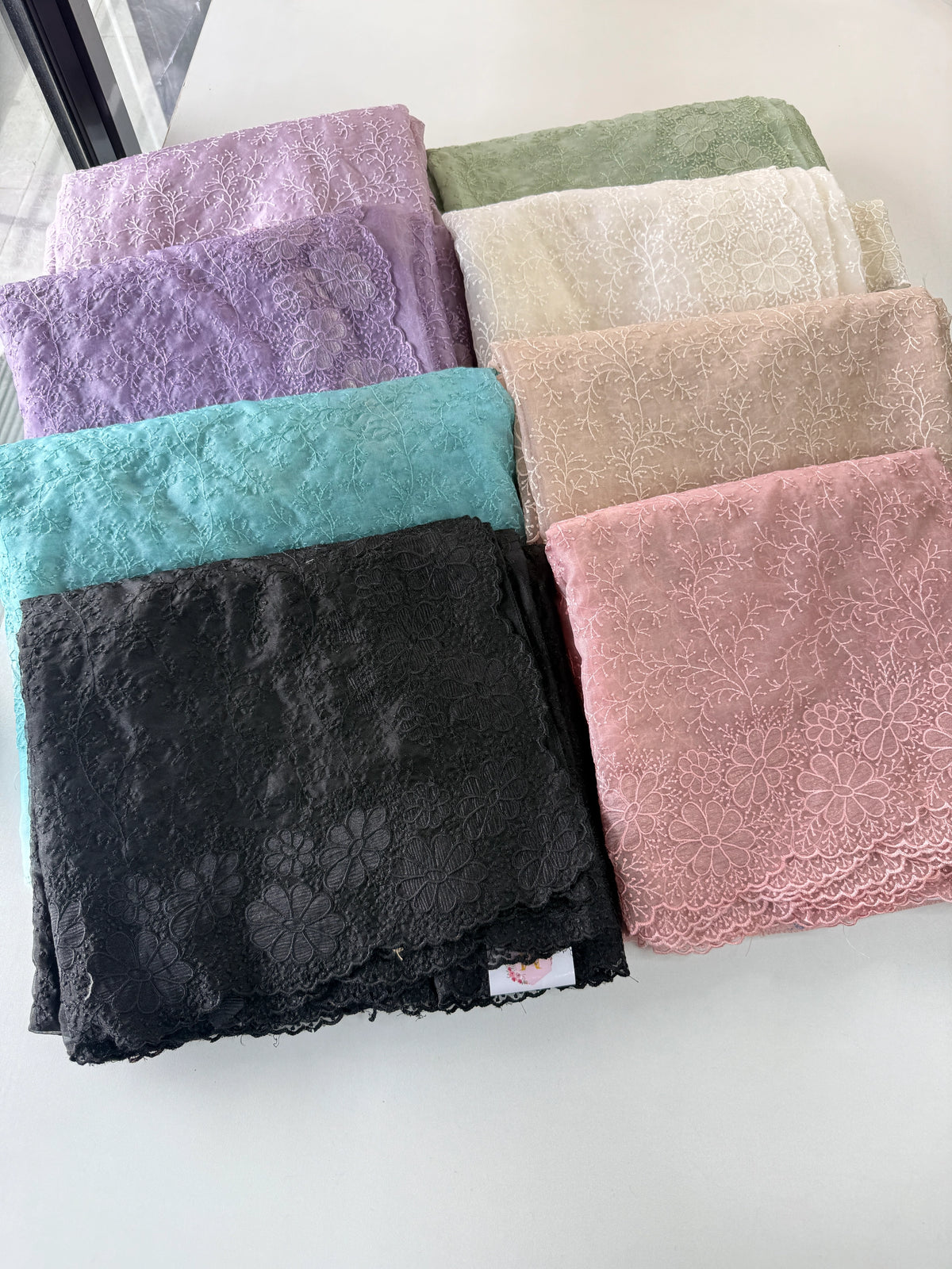 Organza Saree/ CW436