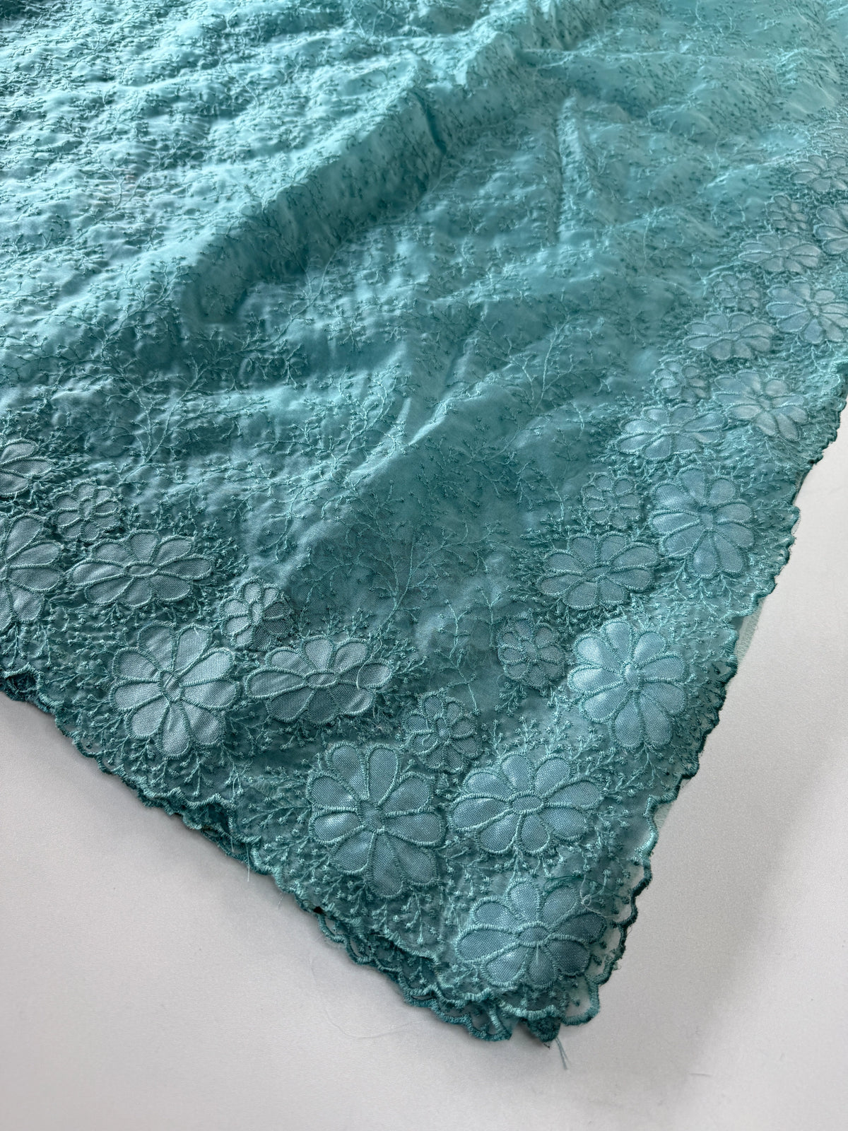 Organza Saree/ CW436