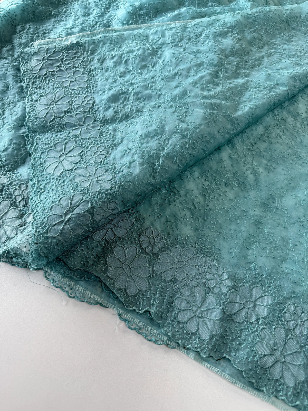 Organza Saree/ CW436