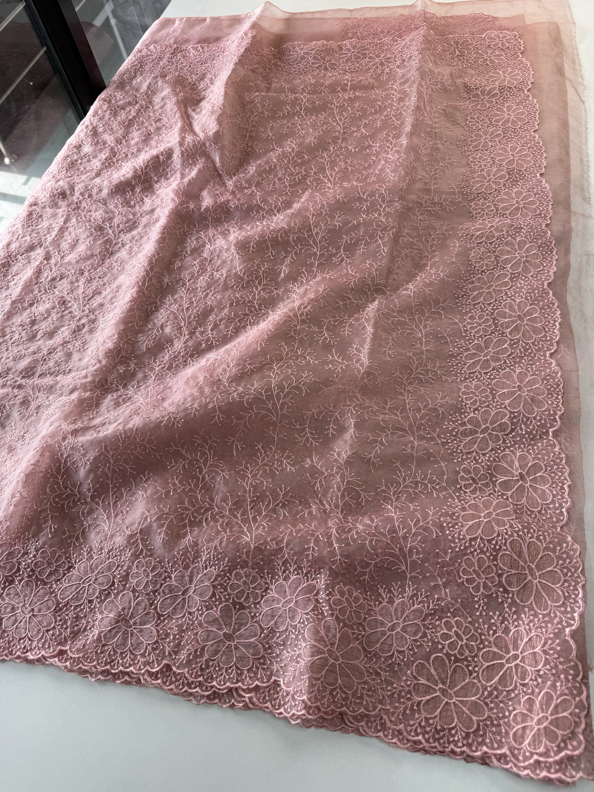 Organza Saree/ CW436
