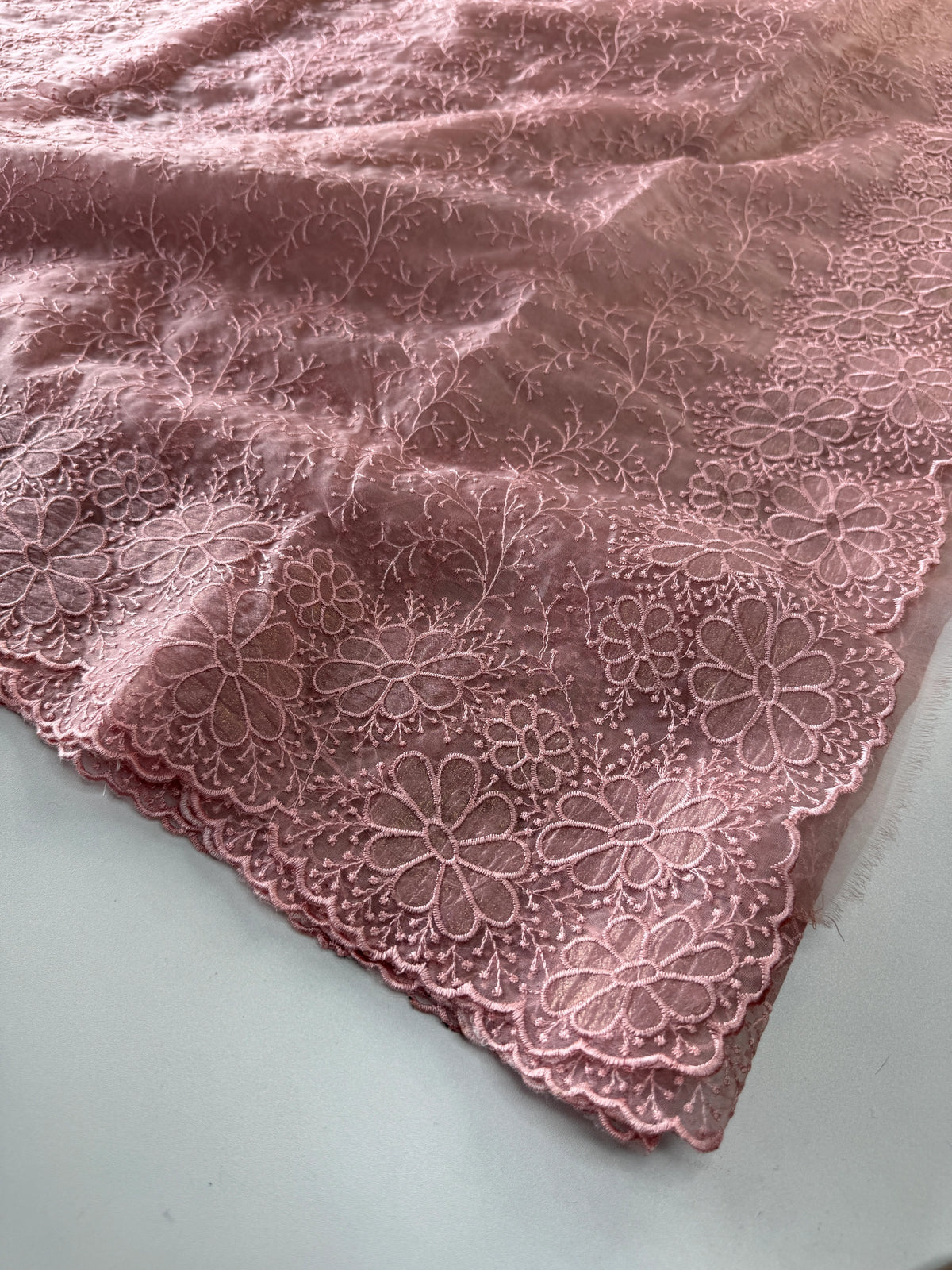 Organza Saree/ CW436