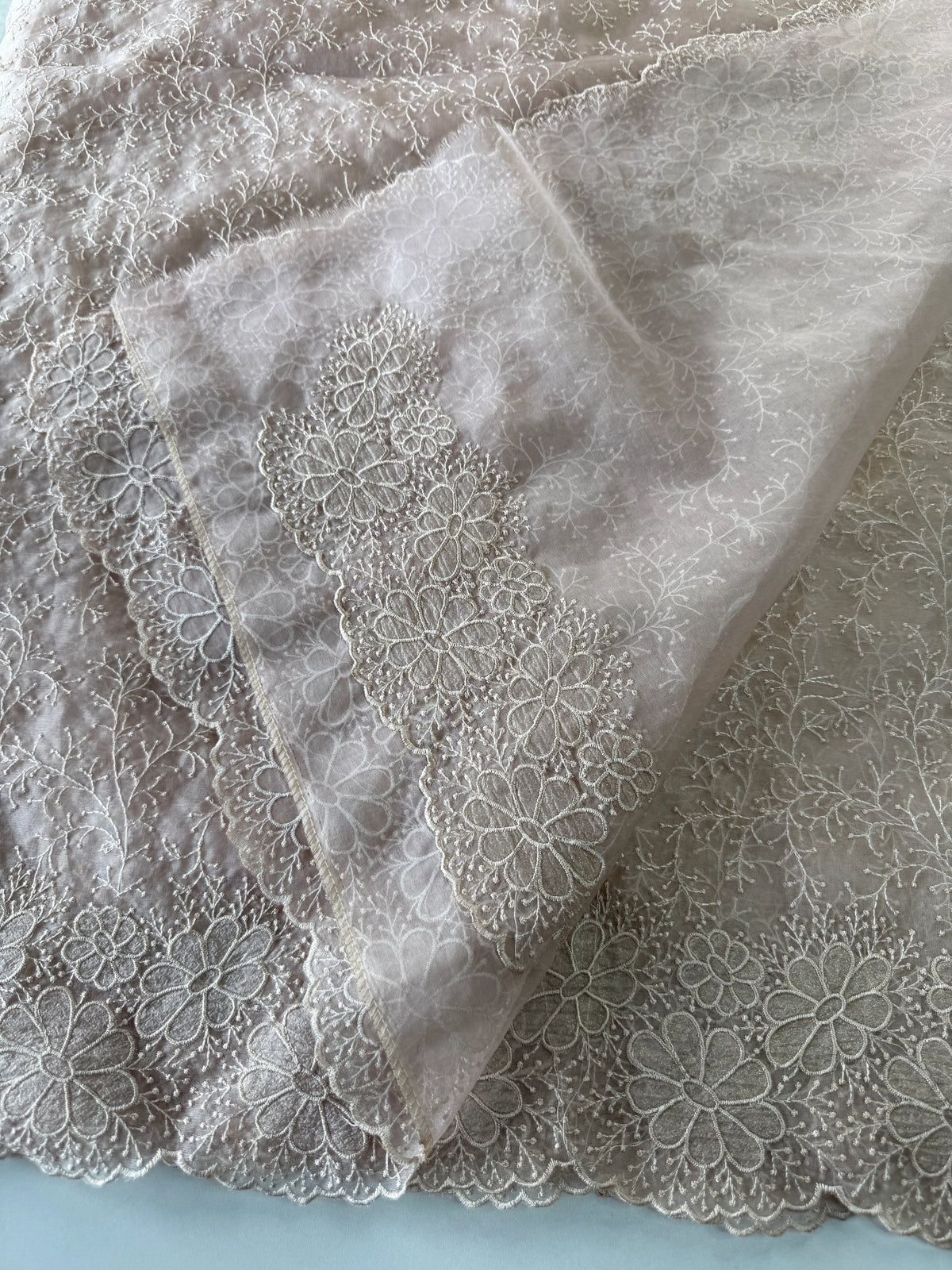Organza Saree/ CW436