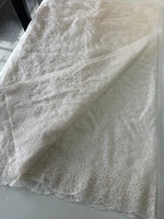 Organza Saree/ CW436