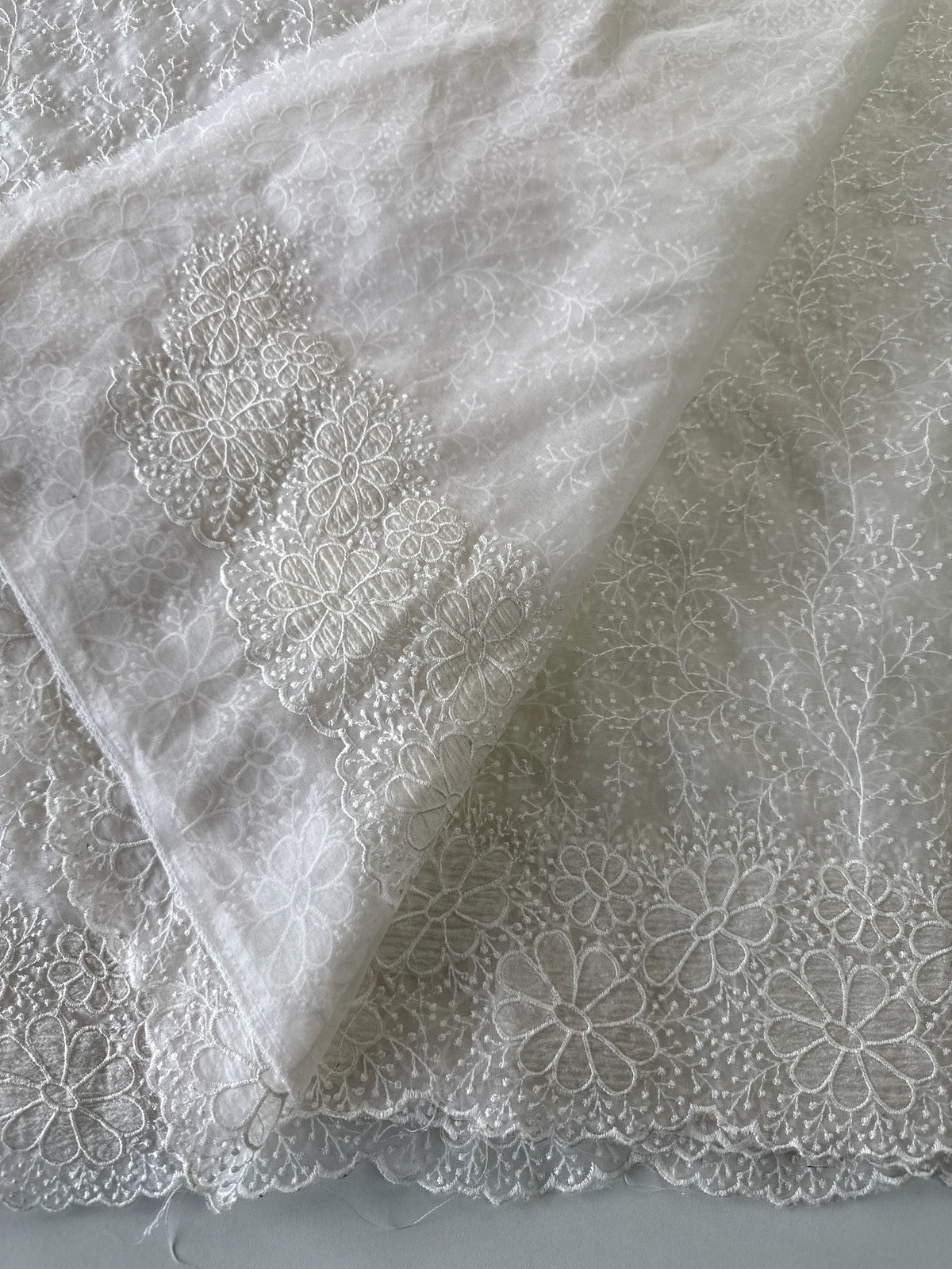 Organza Saree/ CW436