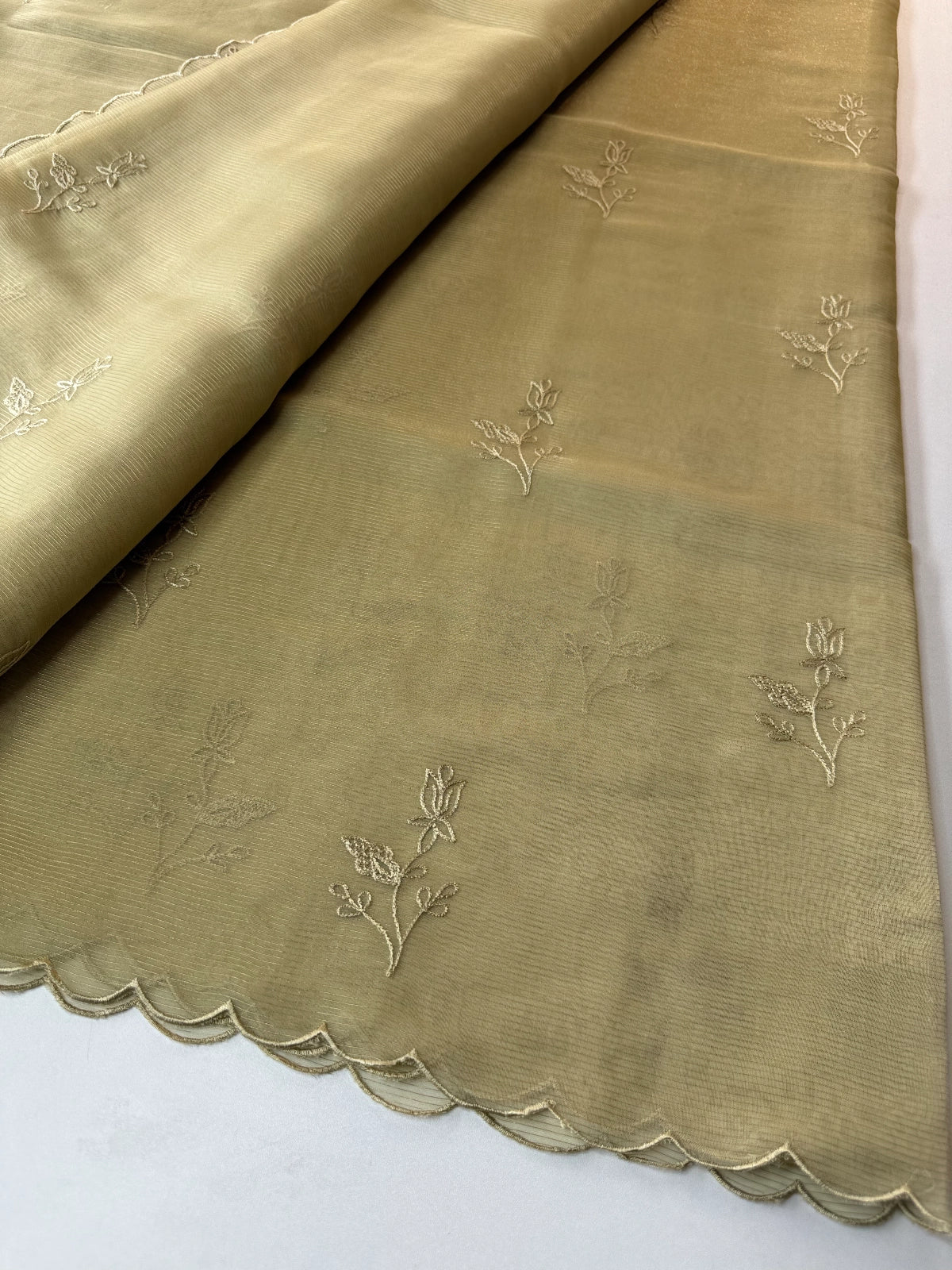Chanderi Organza blend Saree / AWS81