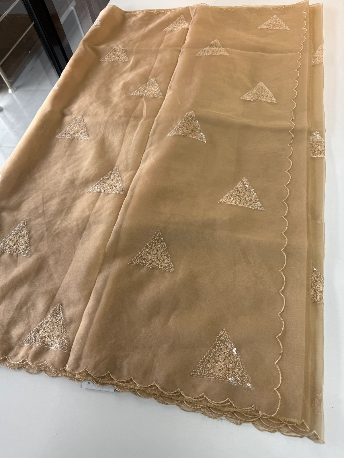 Soft organza saree/ CW375