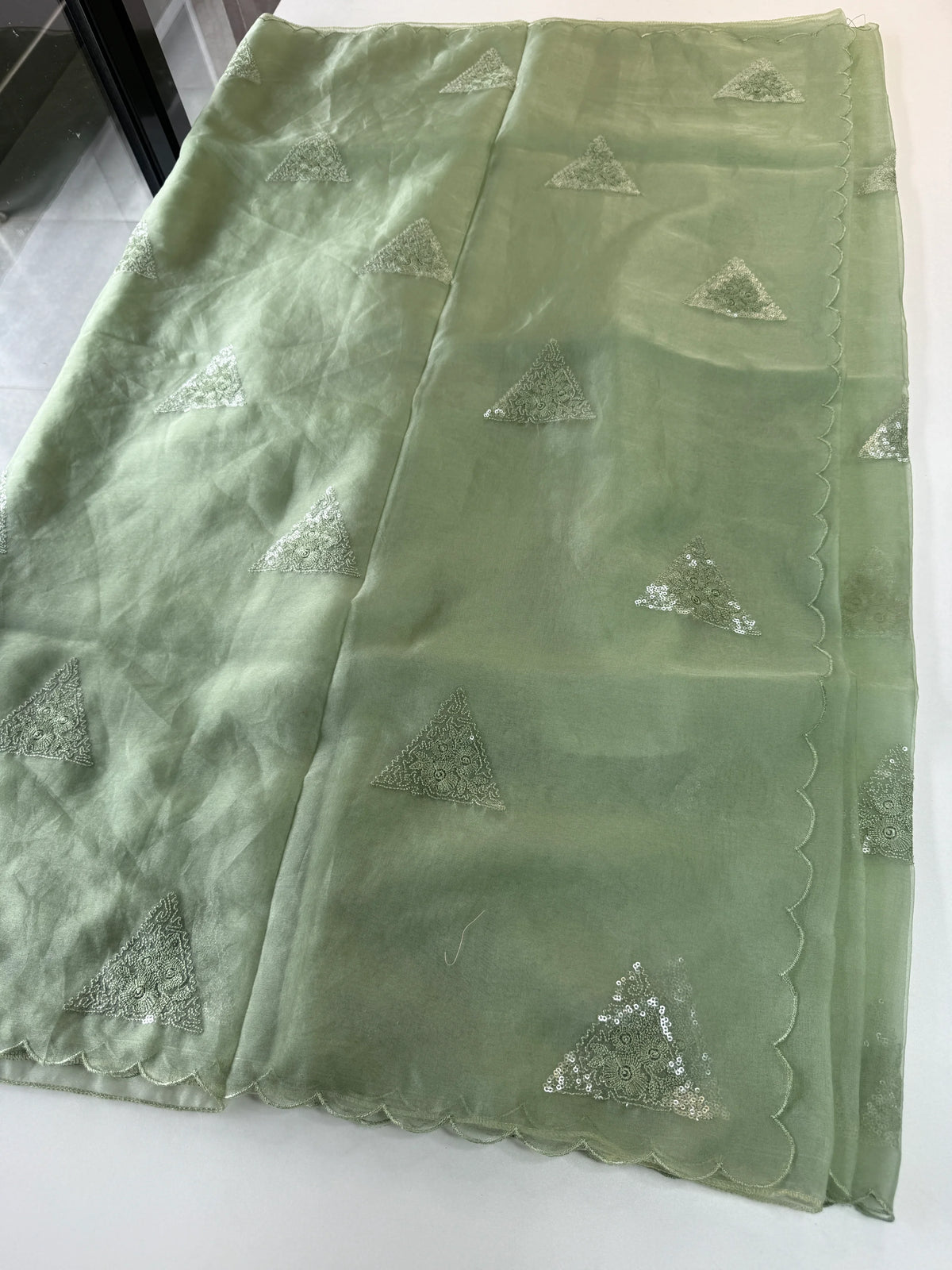 Soft organza saree/ CW375