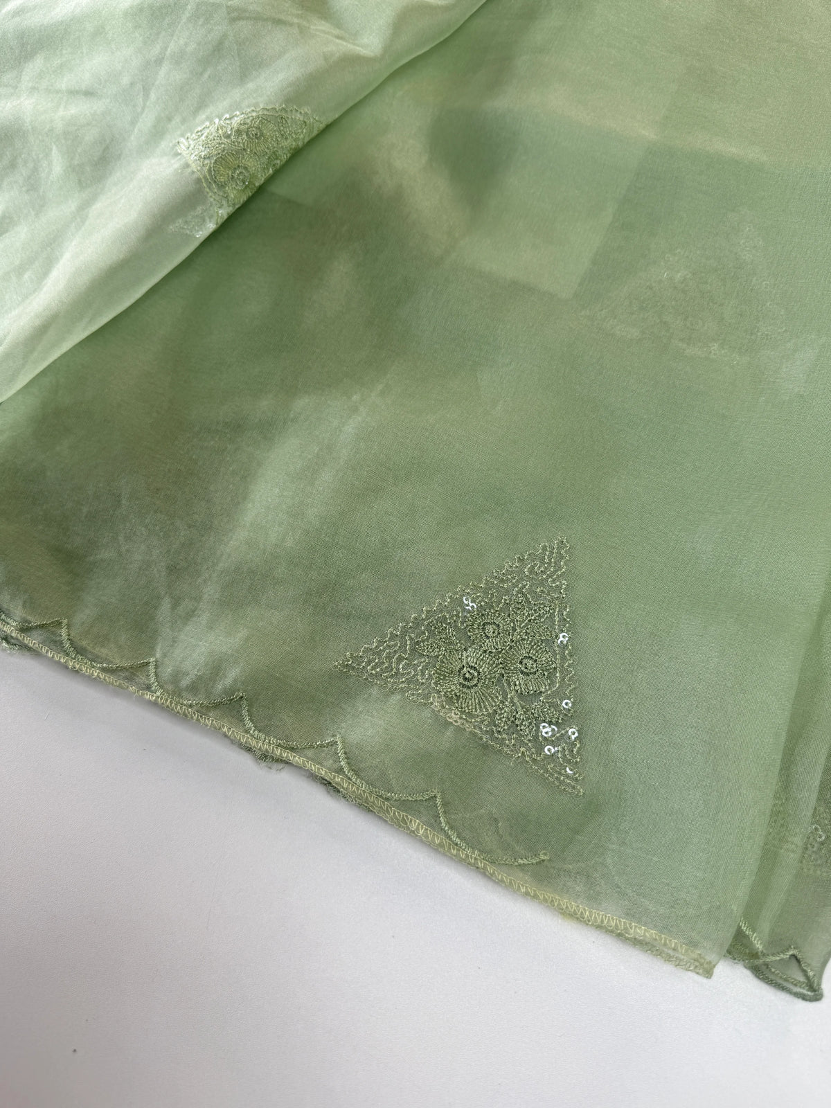Soft organza saree/ CW375