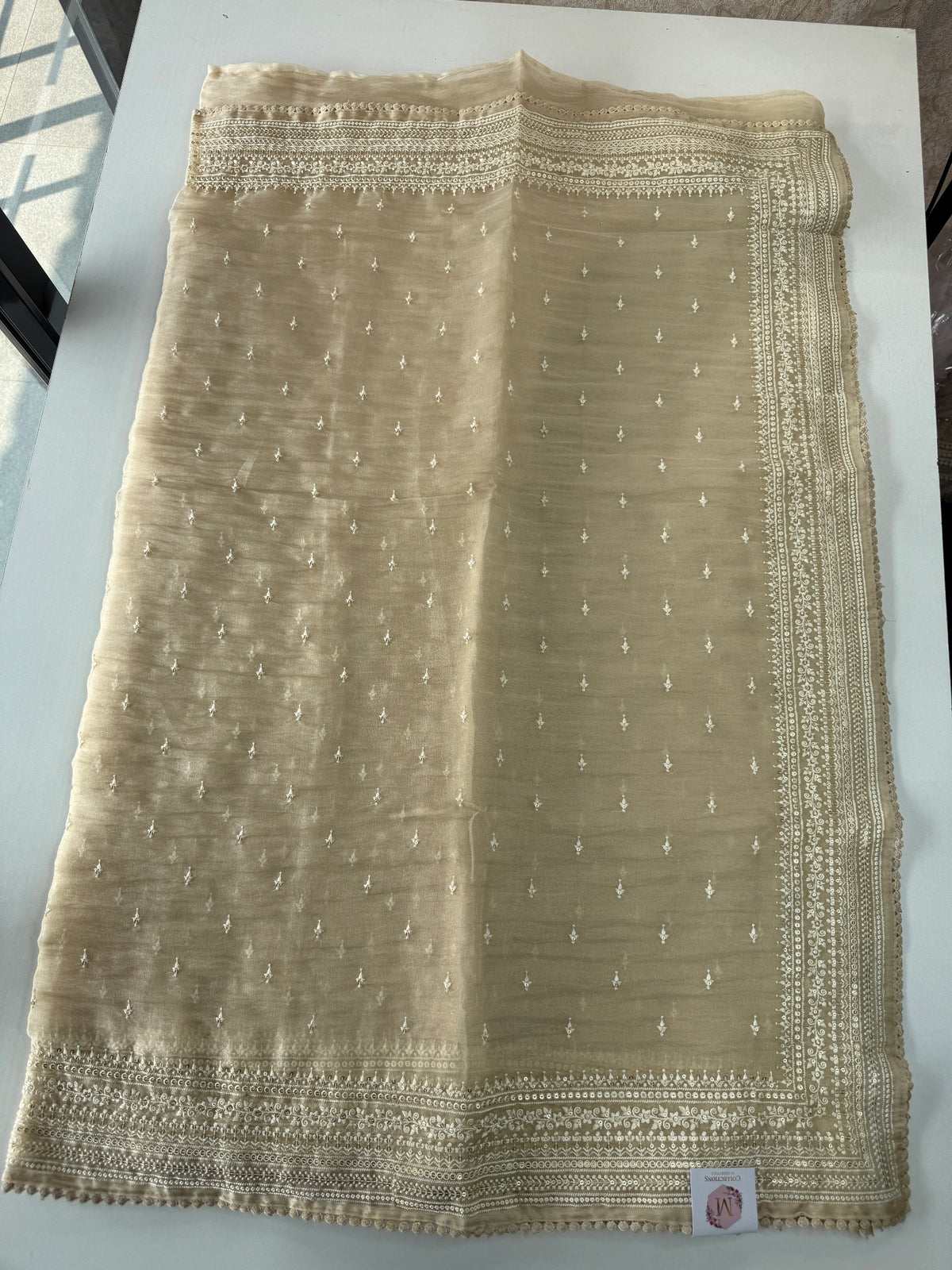 Organza Saree(Pre Booking )/ BL281