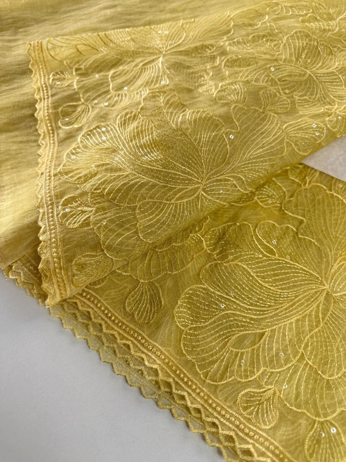 Koran organza saree/ CW858