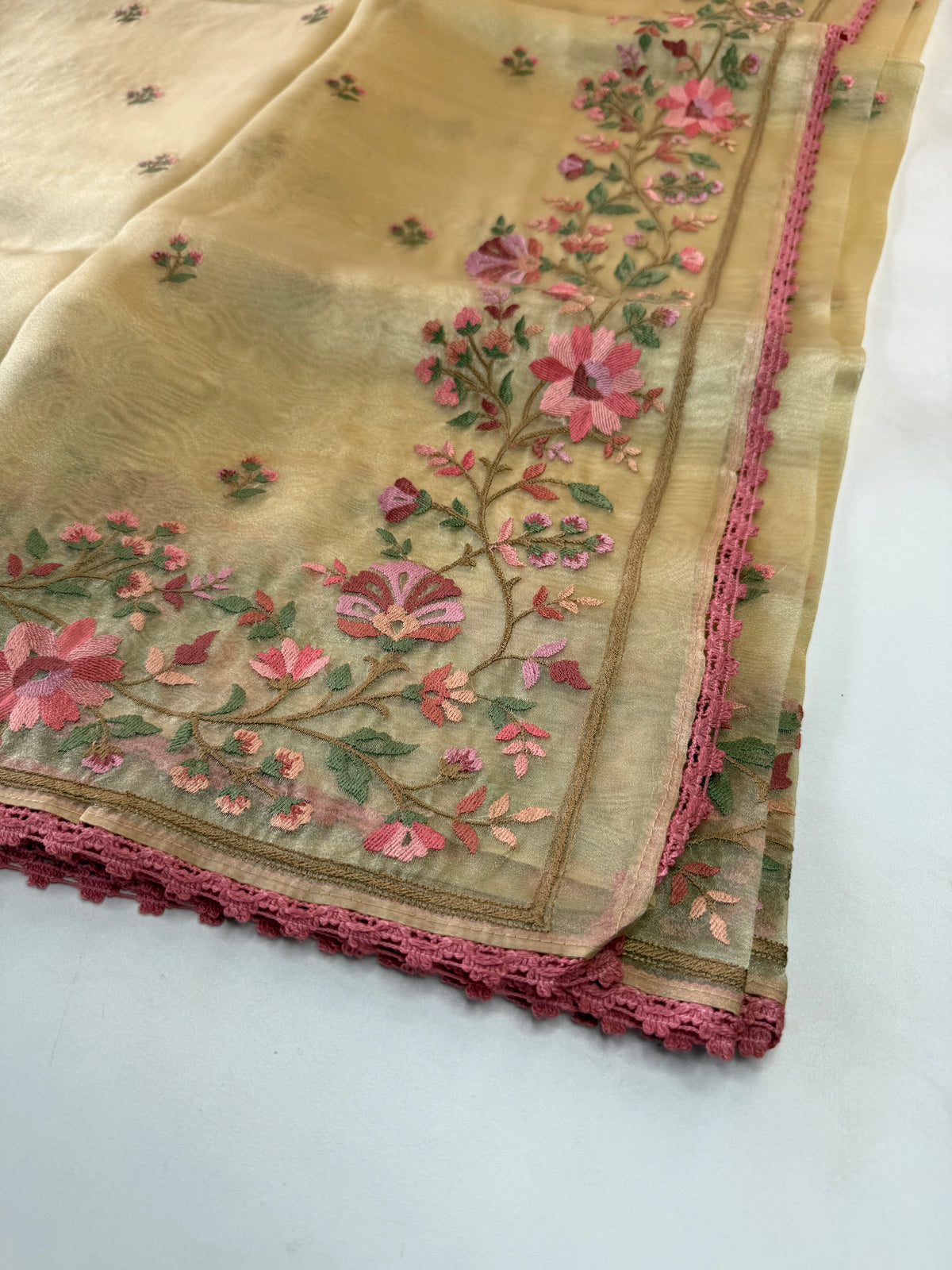 Glass Organza Saree/ 373A