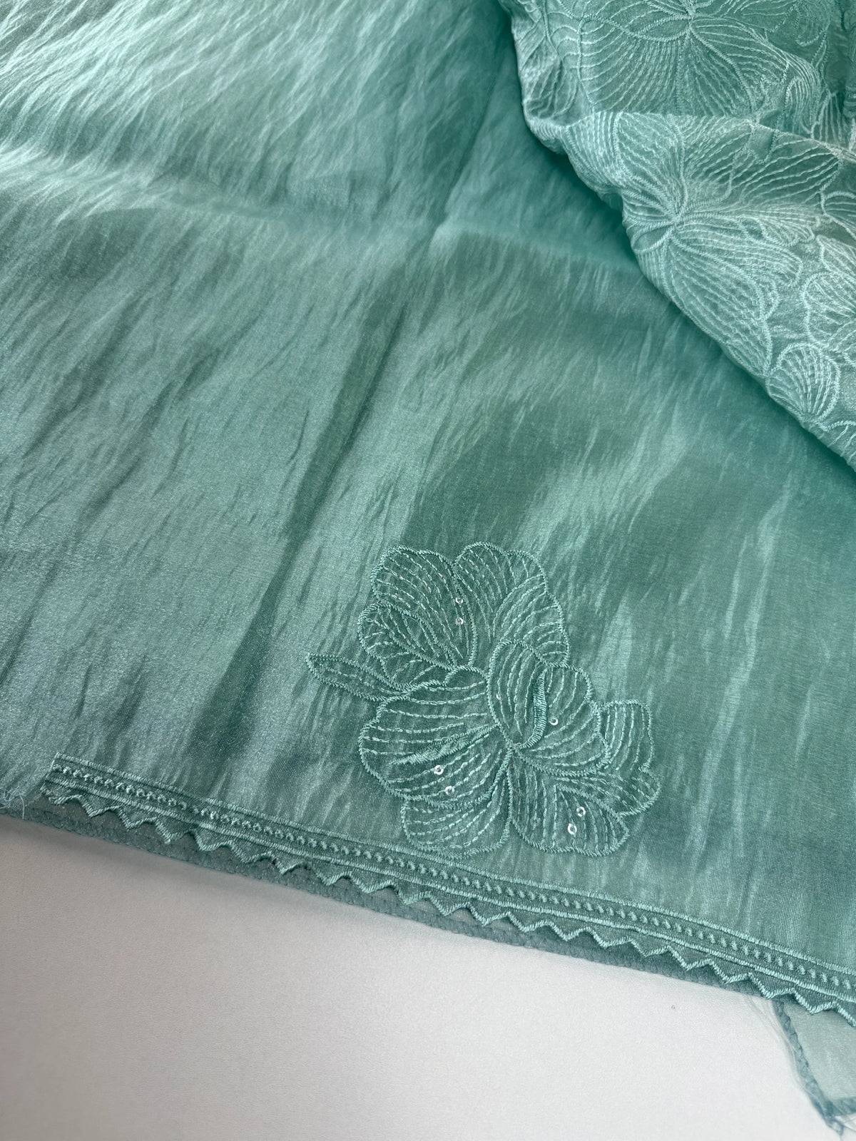 Koran organza saree/ CW858