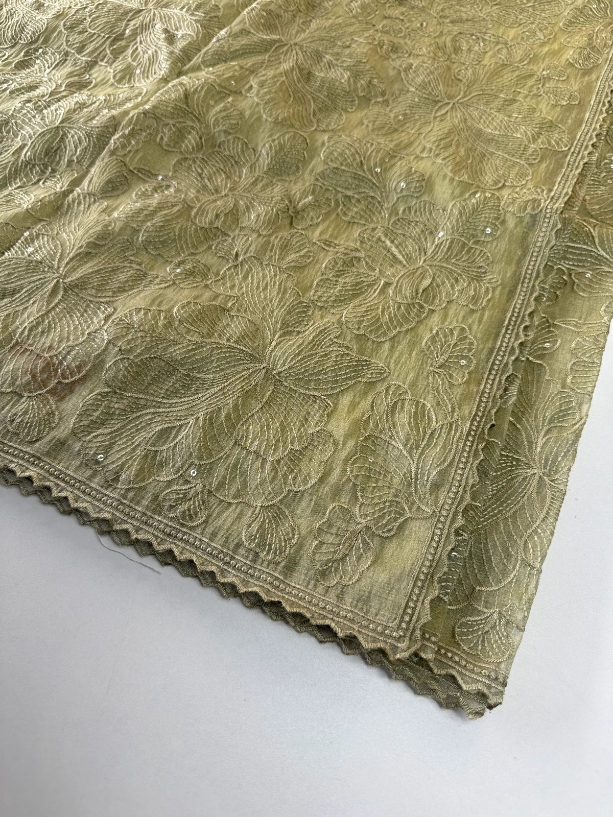 Koran organza saree/ CW858