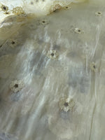 Soft Korean organza /CW463( pre booking)
