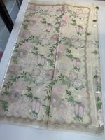 Organza Saree/ 1068