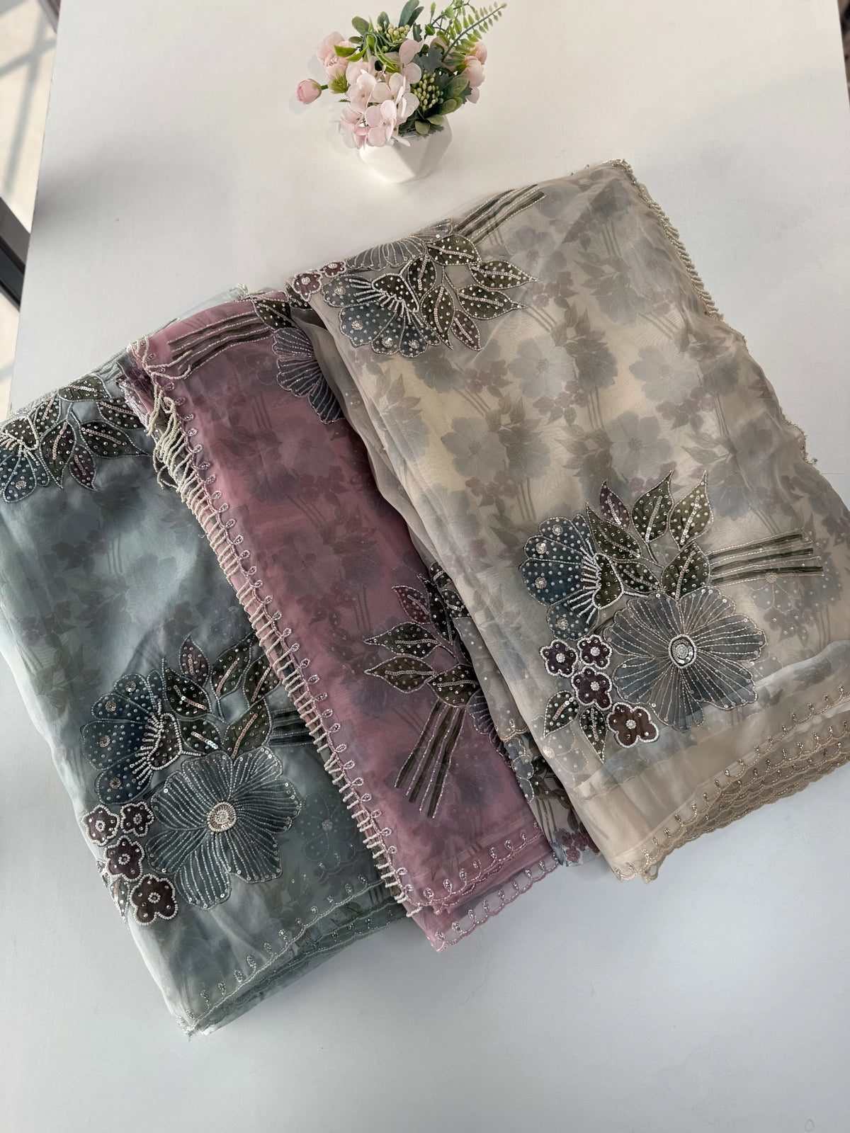 Organza Saree/ DG286