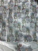 Organza Saree/ DG286