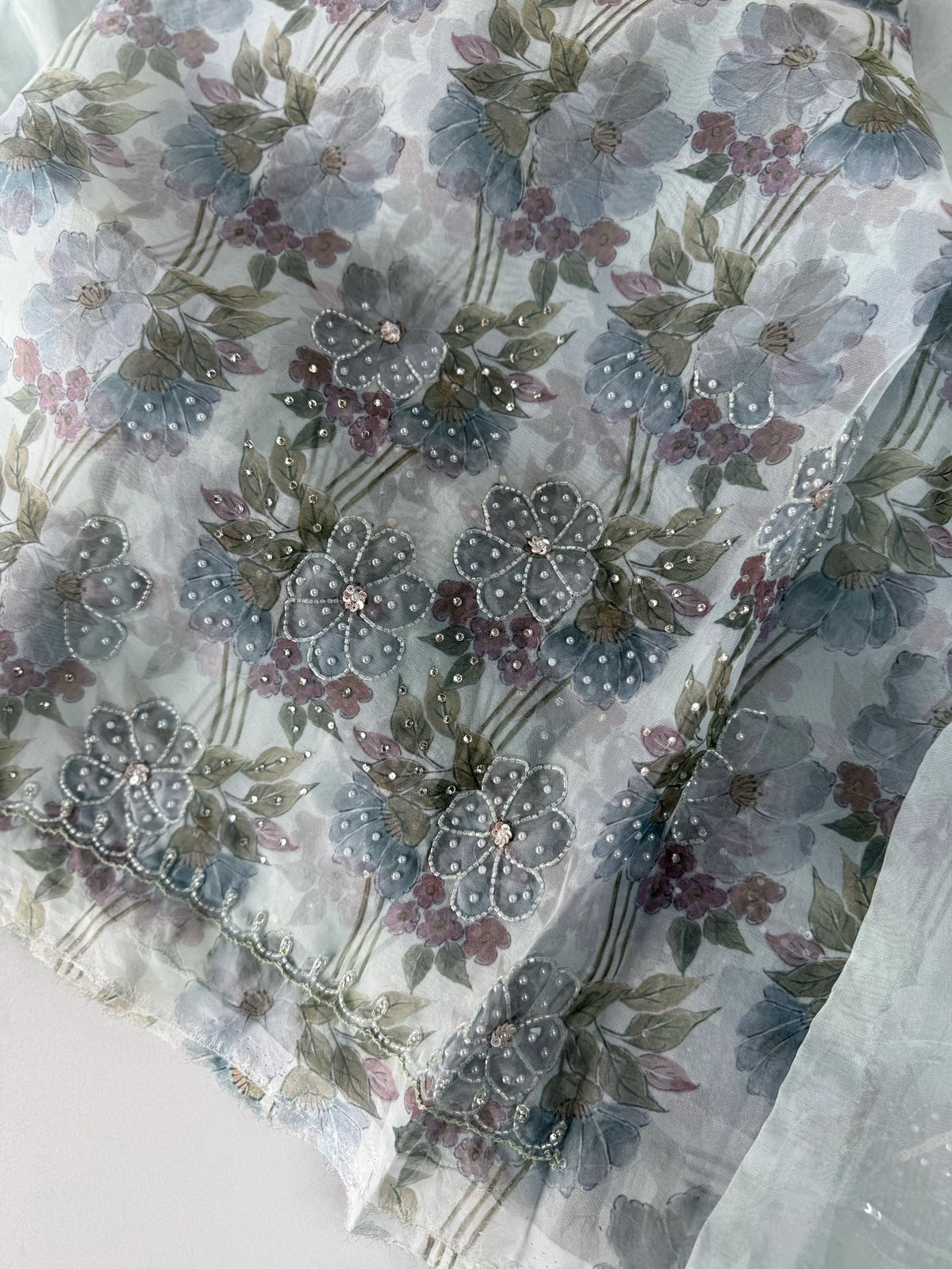 Organza Saree/ DG286