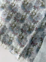 Organza Saree/ DG286