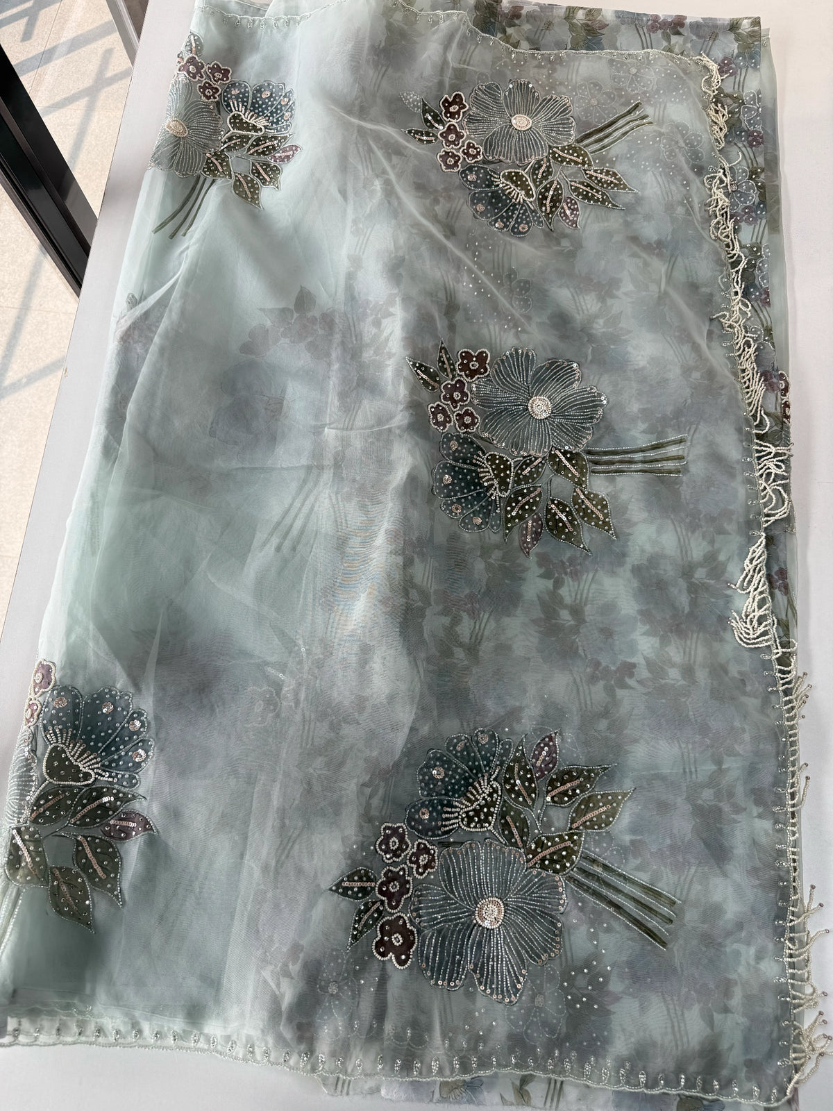 Organza Saree/ DG286