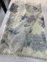 Glass Organza Saree/ 5409