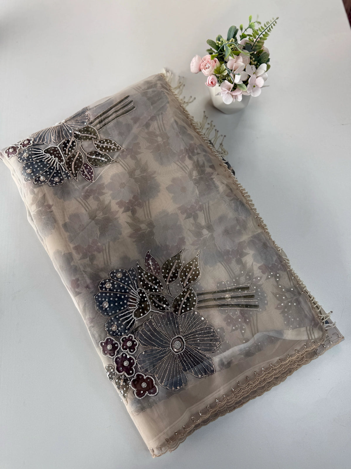 Organza Saree/ DG286