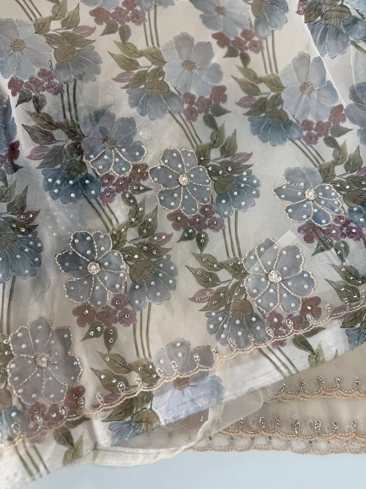 Organza Saree/ DG286