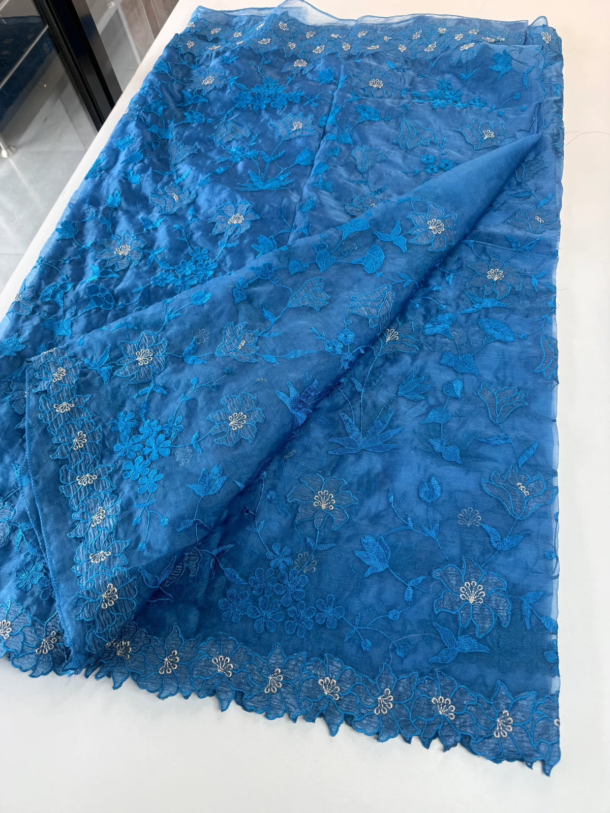 Soft organza saree/ CW859