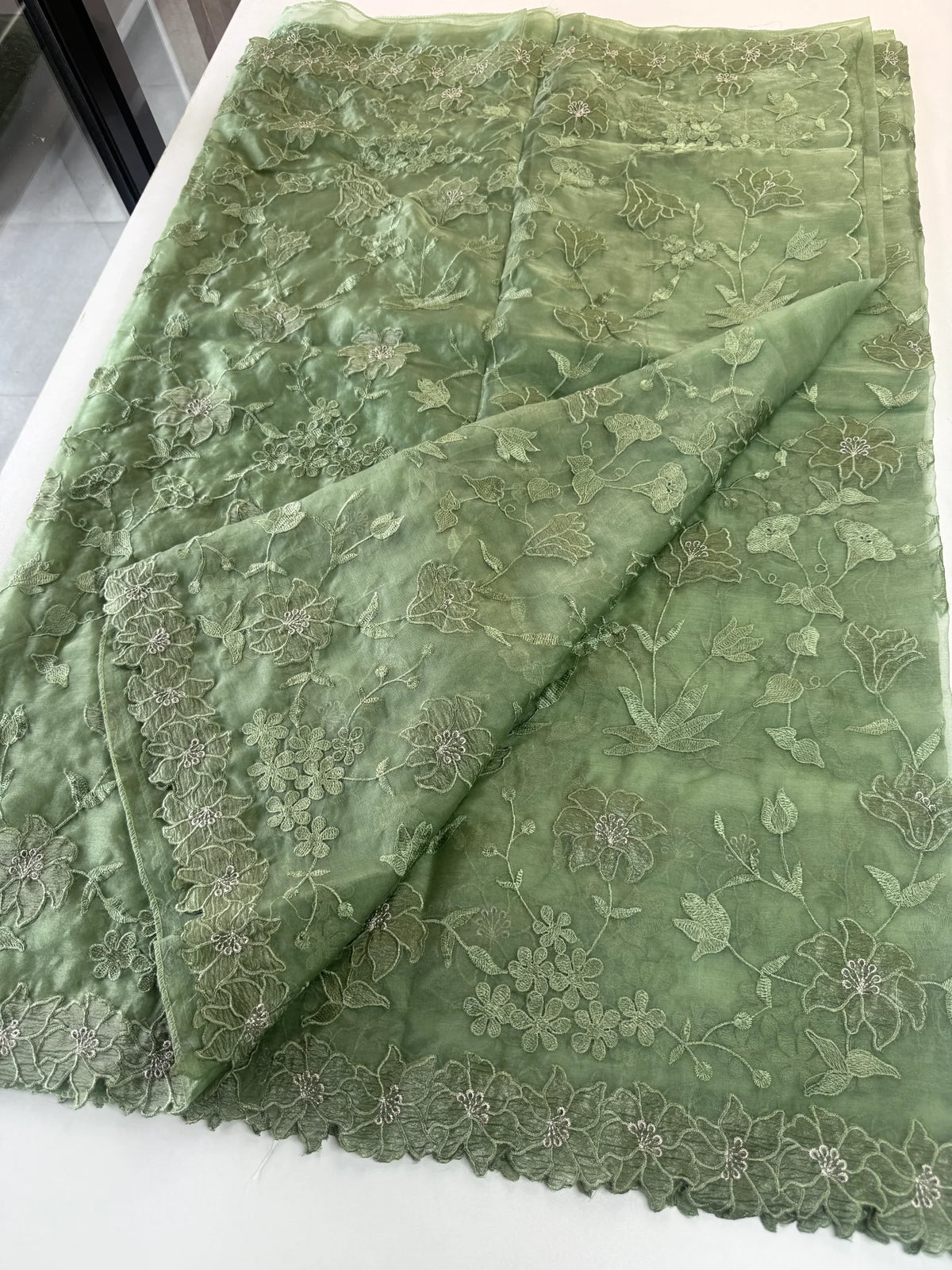 Soft organza saree/ CW859