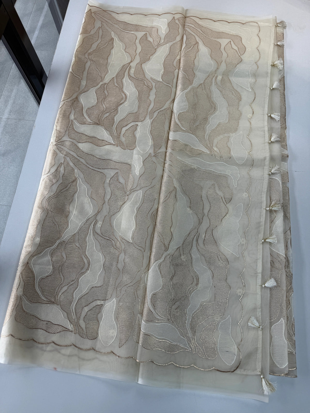 Organza Saree/ 839A