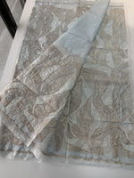 Organza Saree/ 839A
