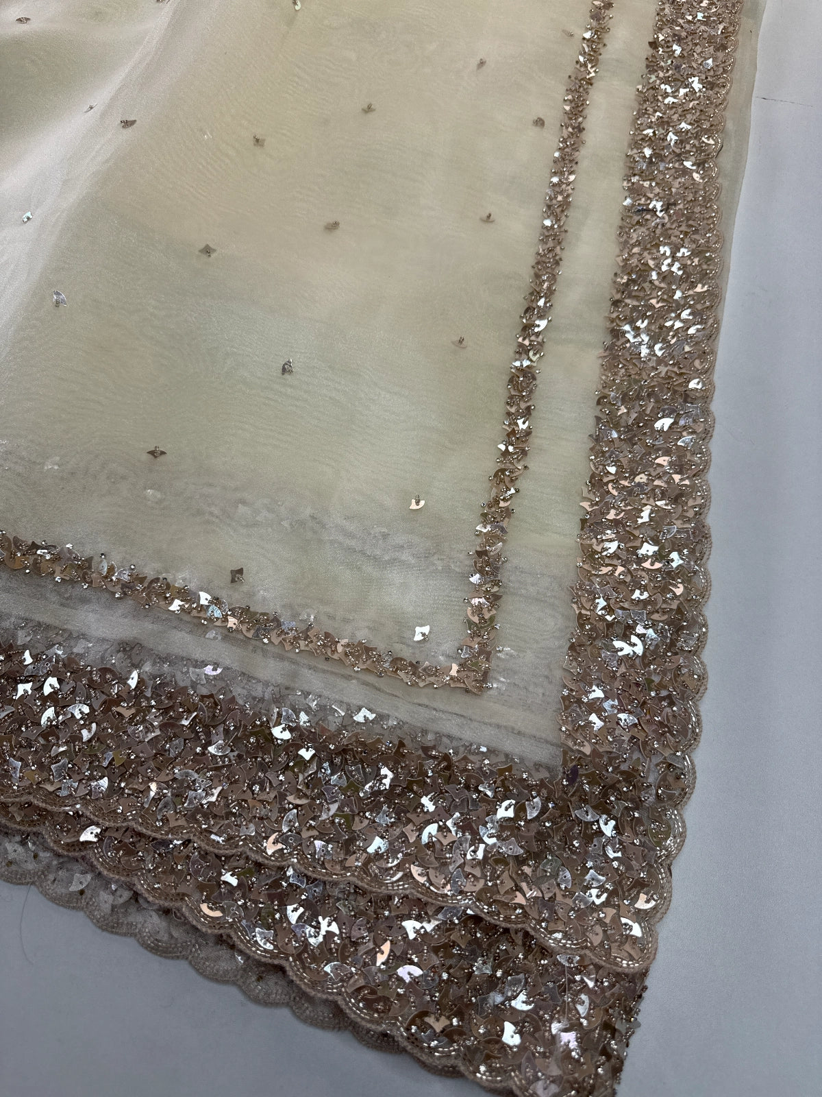 Glass Organza Saree/ AP112