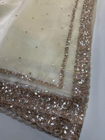 Glass Organza Saree/ AP112