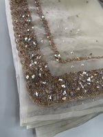 Glass Organza Saree/ AP112