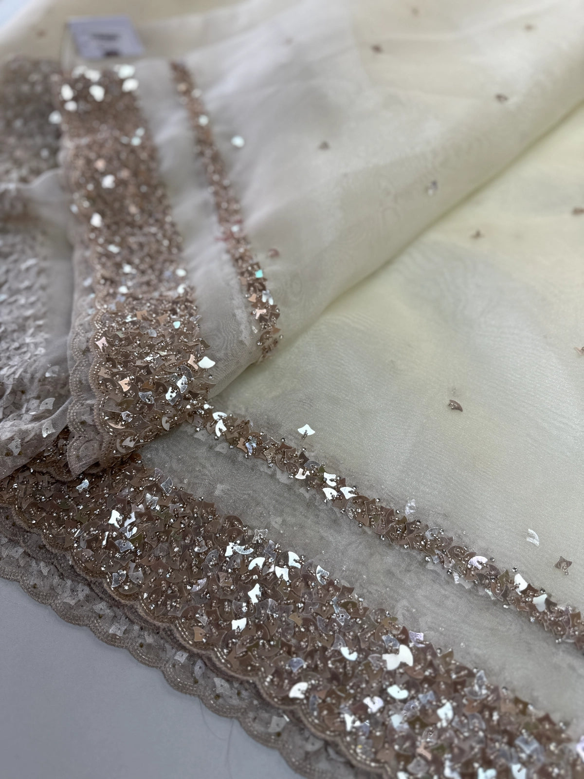 Glass Organza Saree/ AP112